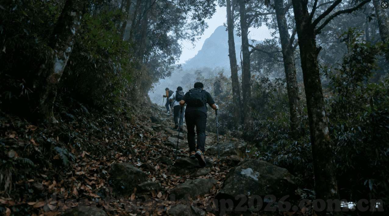 街机明星97水果机app-街机明星97水果机app，重温经典，尽在指尖