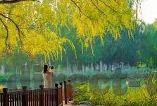 mk体育下载-MK体育下载，探索移动体育世界的新途径